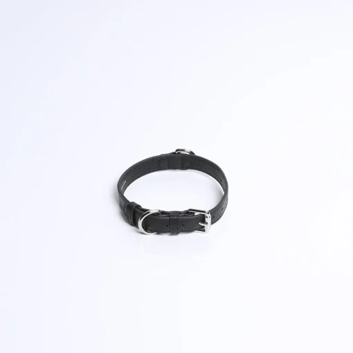 COLLAR | BLACK