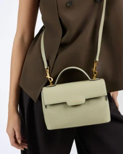 FLORA | OLIVE