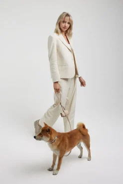 LEASH | LIMESTONE